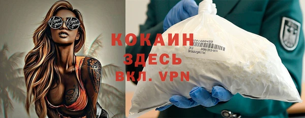 mdpv Болотное